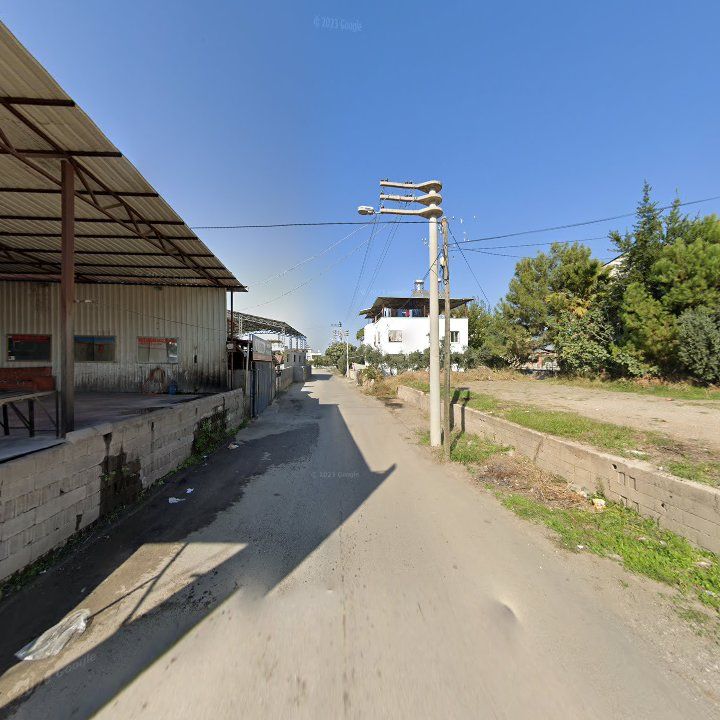 Fotoğraf 9