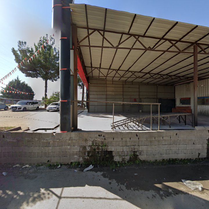 Fotoğraf 8