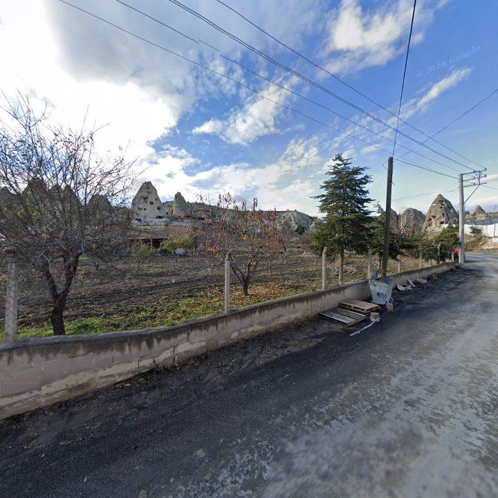 Fotoğraf 9