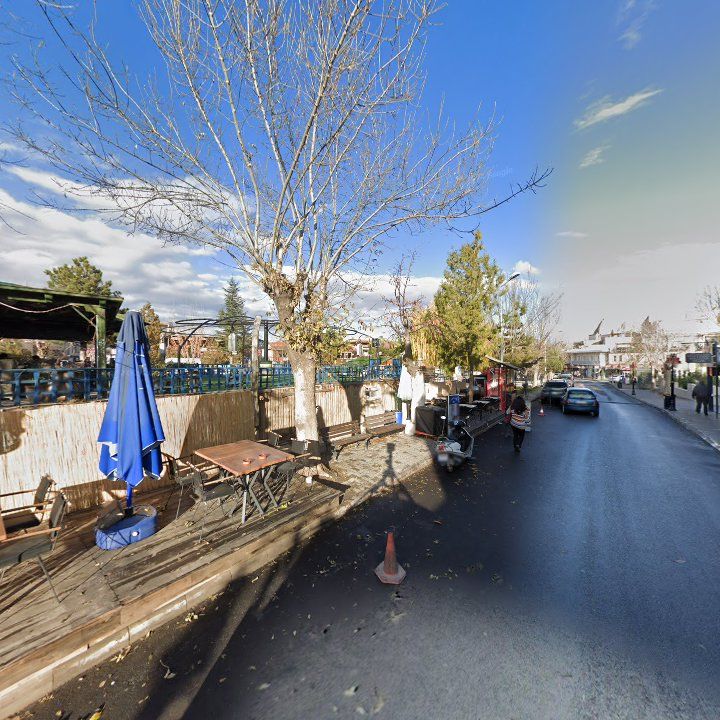 Fotoğraf 15