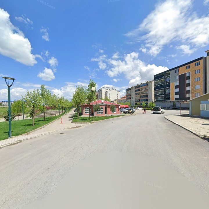 Fotoğraf 10