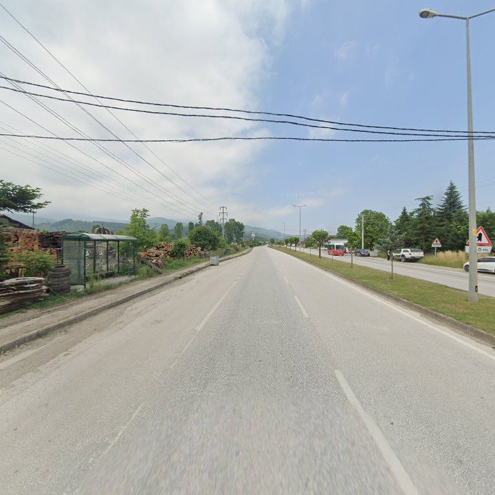 Fotoğraf 10