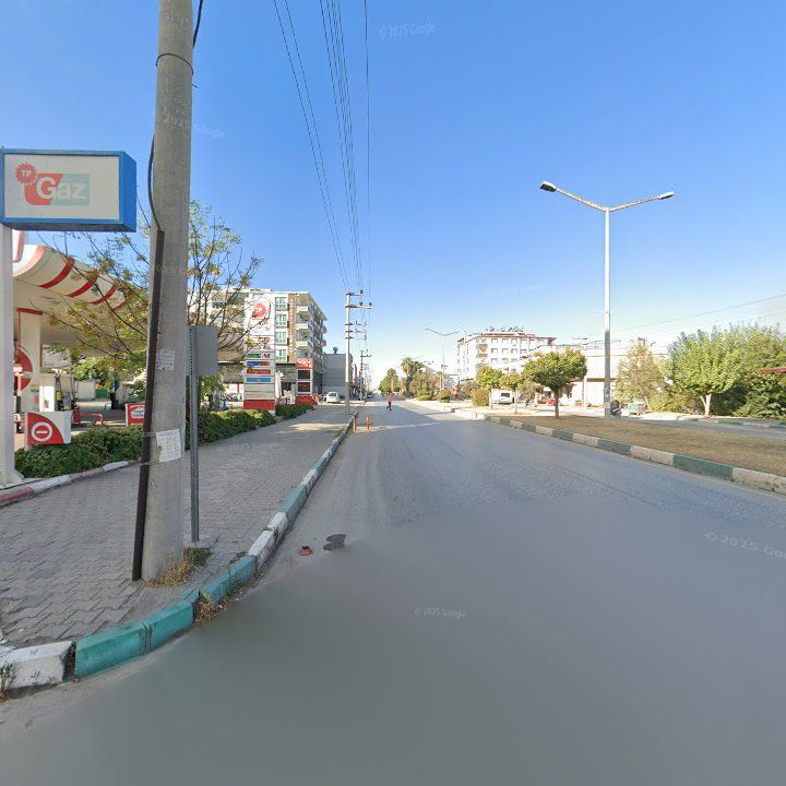 Fotoğraf 8