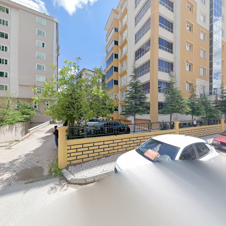 Fotoğraf 11