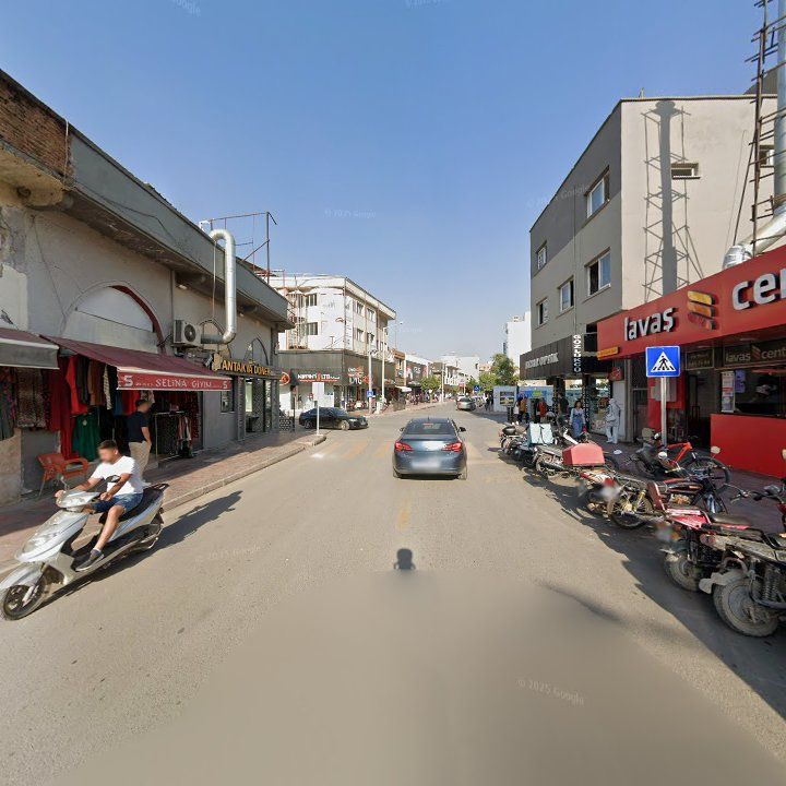 Fotoğraf 7