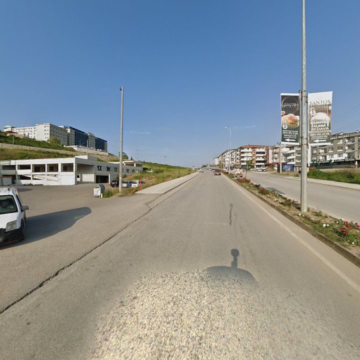 Fotoğraf 7