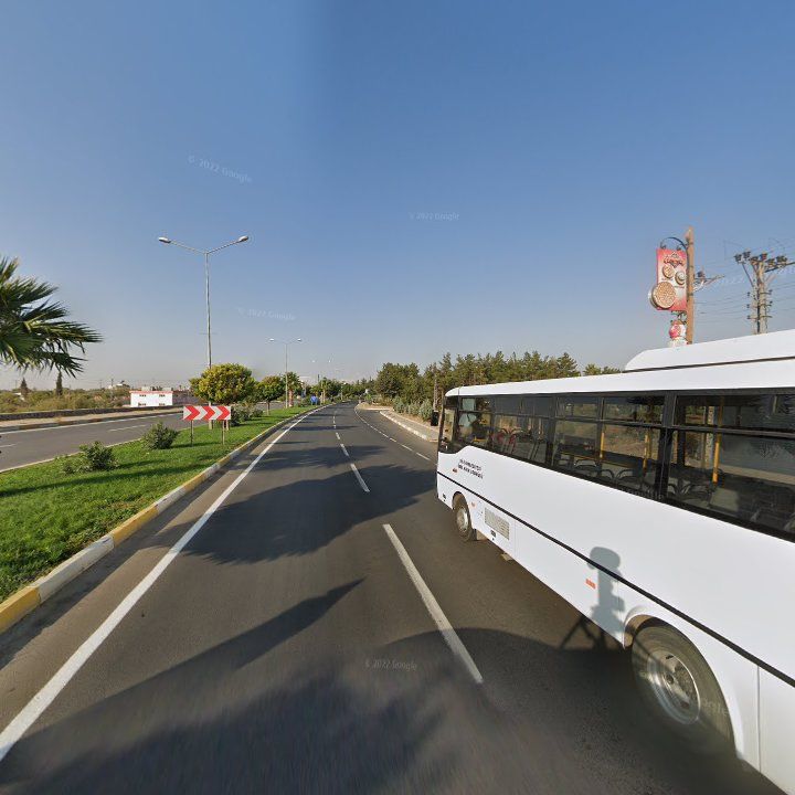 Fotoğraf 5