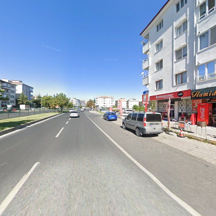 Fotoğraf 11