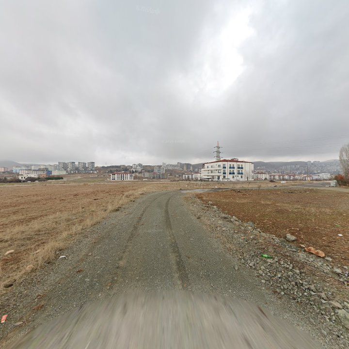 Fotoğraf 6
