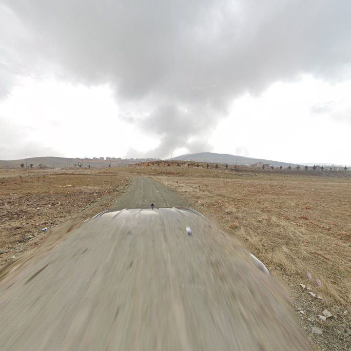 Fotoğraf 8