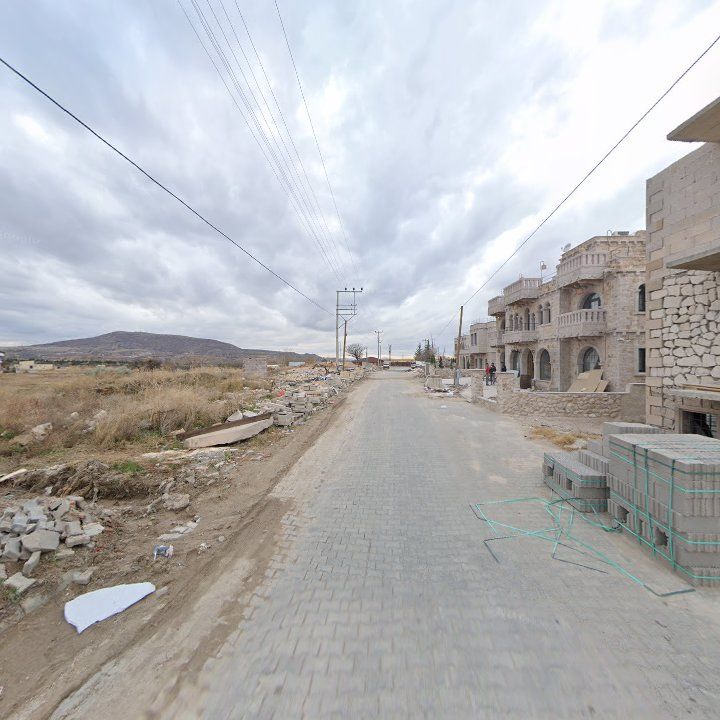 Fotoğraf 8
