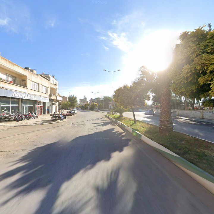 Fotoğraf 3