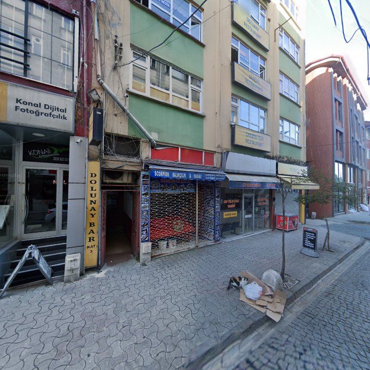 Fotoğraf 3