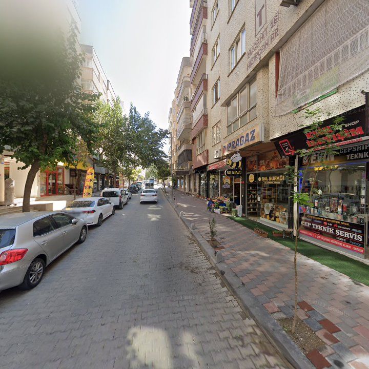 Fotoğraf 4