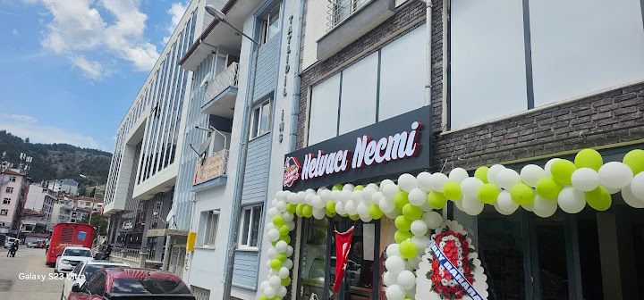 Helvacı Necmi Tokat Şubesi