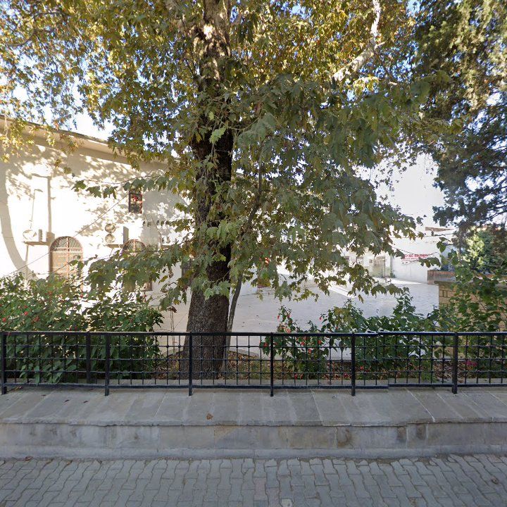 Fotoğraf 6