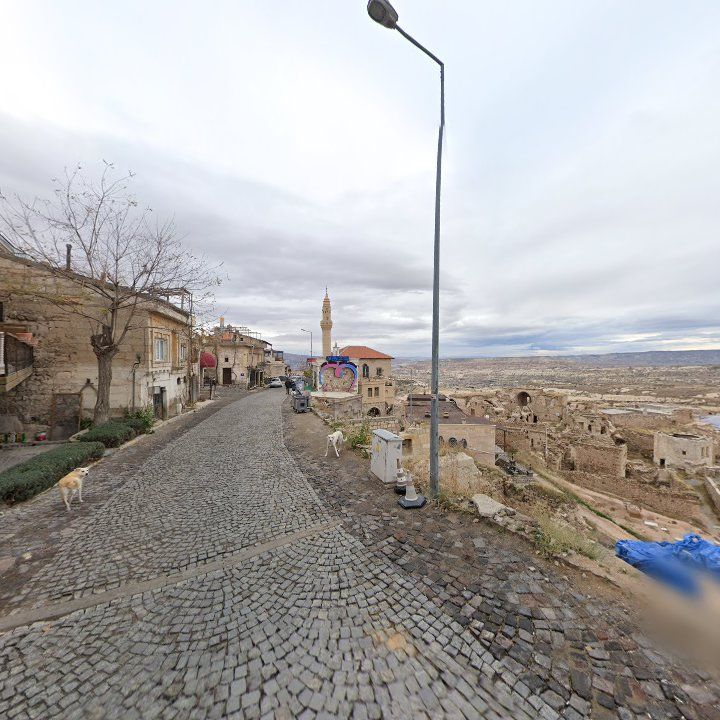 Fotoğraf 7