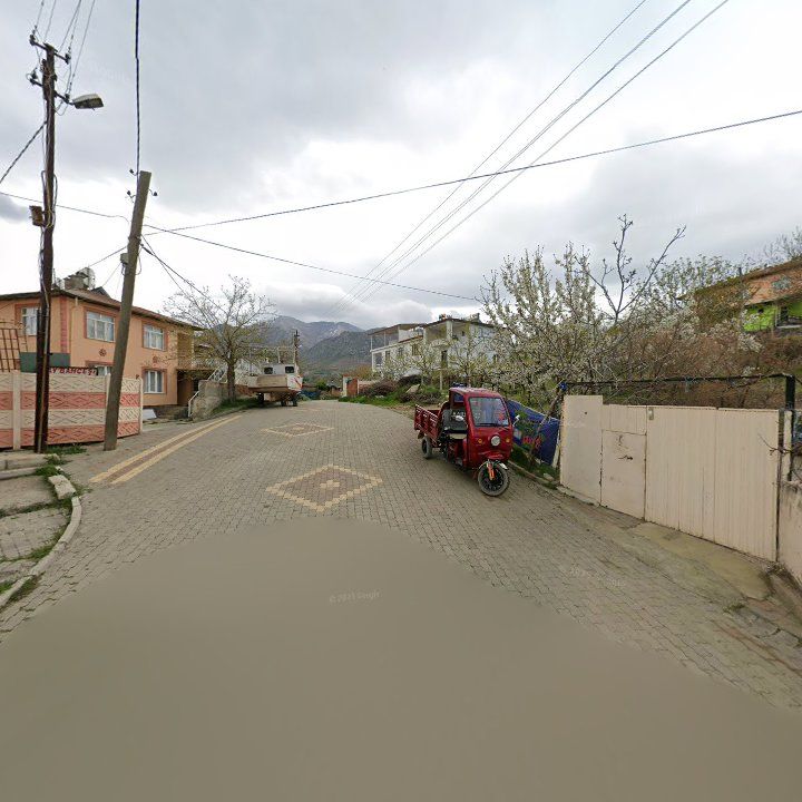 Fotoğraf 7