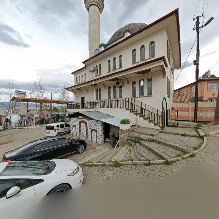 Fotoğraf 6