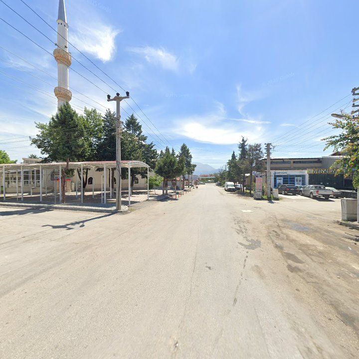 Fotoğraf 5