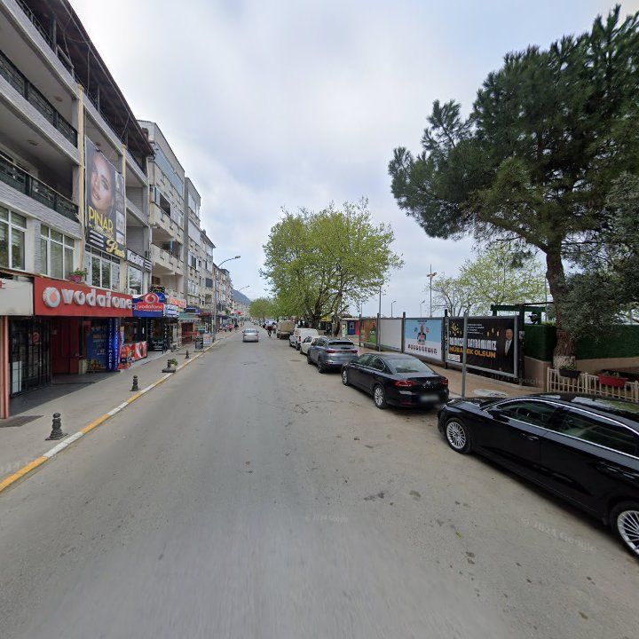 Fotoğraf 8