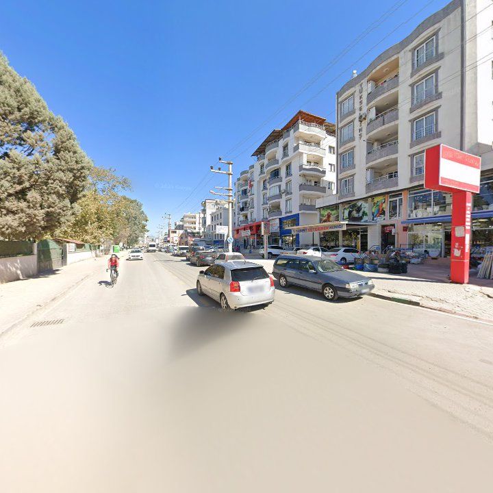 Fotoğraf 12