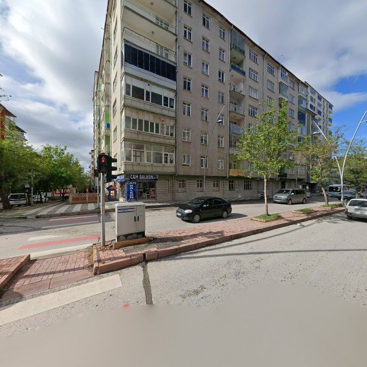 Fotoğraf 8