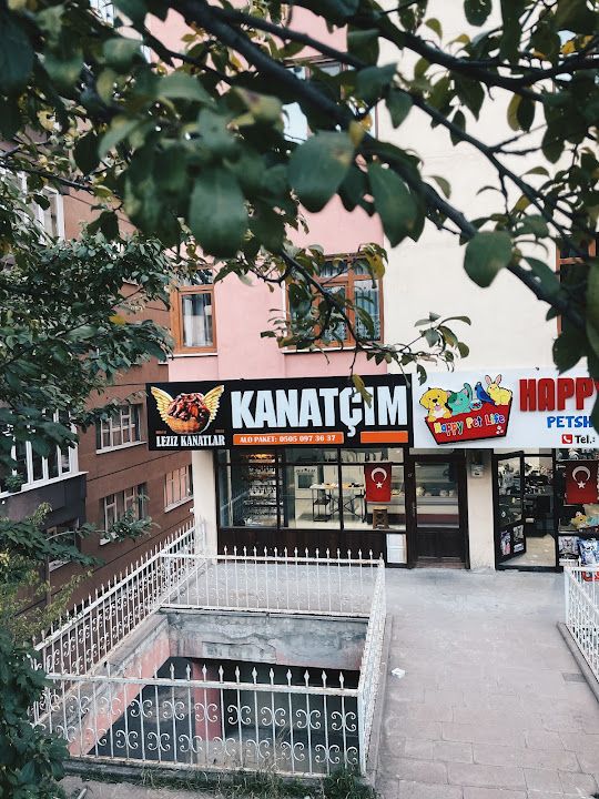 Kanatçım
