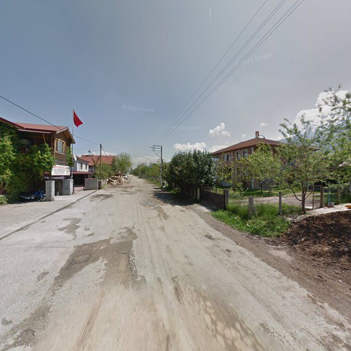 Fotoğraf 9