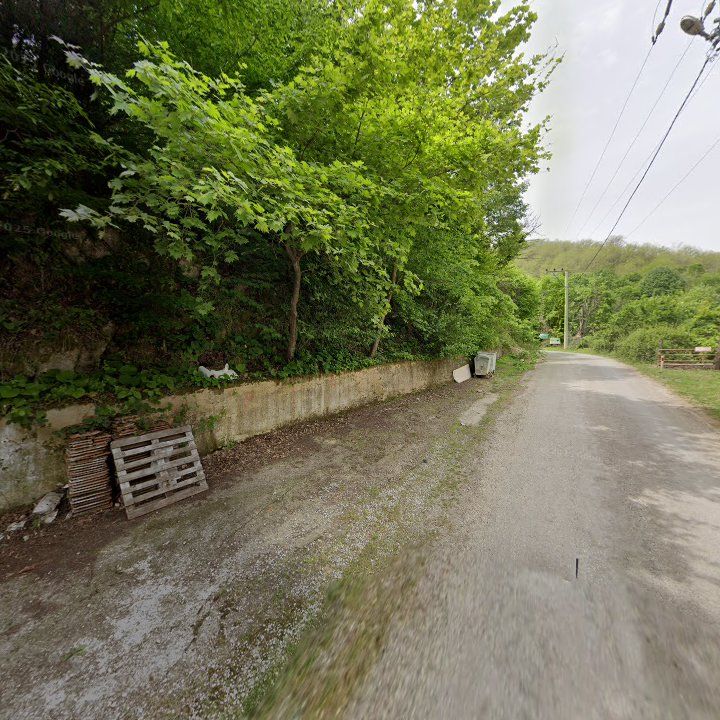 Fotoğraf 14