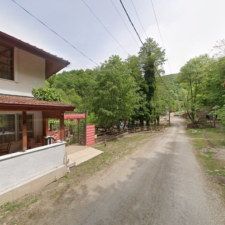 Fotoğraf 12