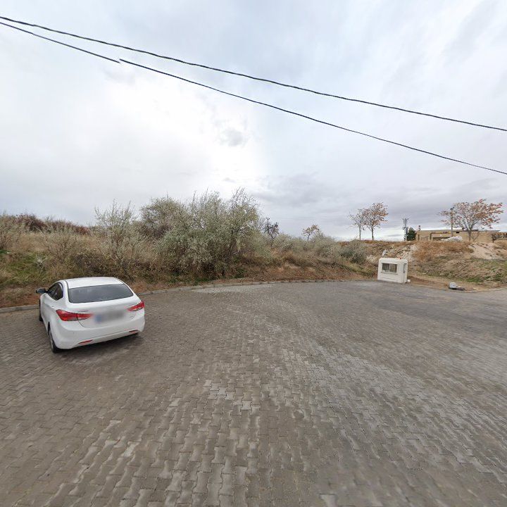 Fotoğraf 8