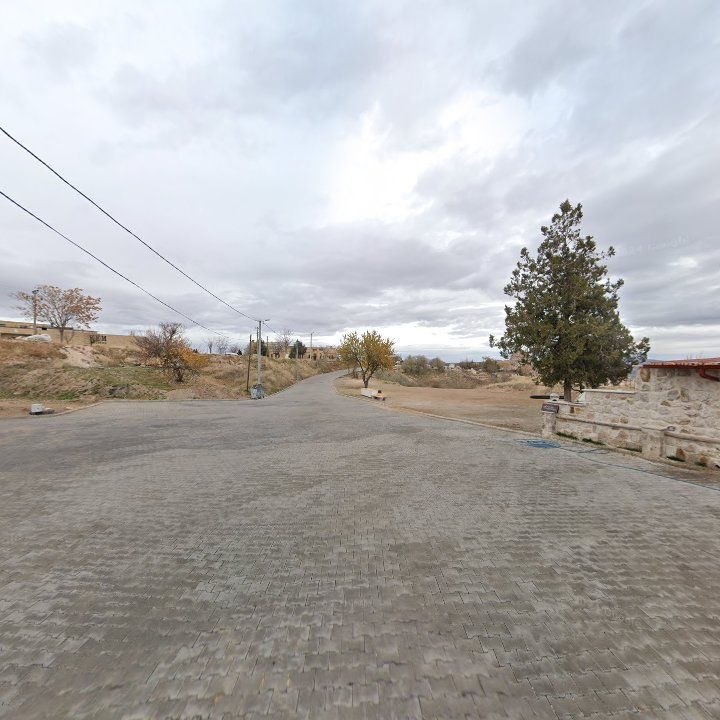 Fotoğraf 9