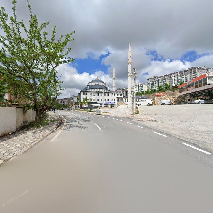 Fotoğraf 7
