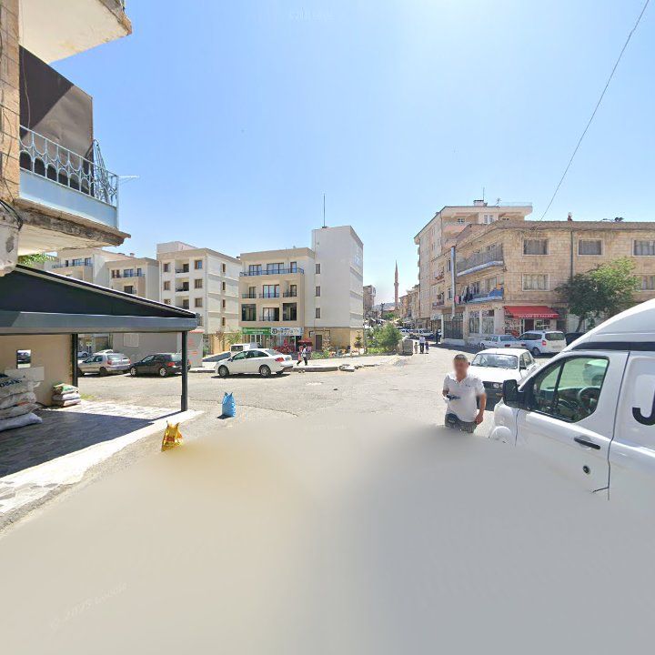 Fotoğraf 10