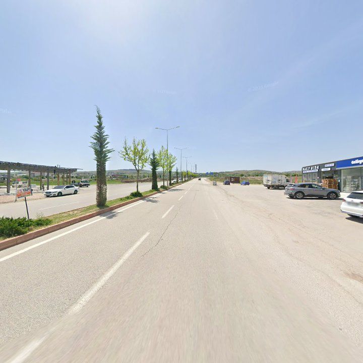 Fotoğraf 12