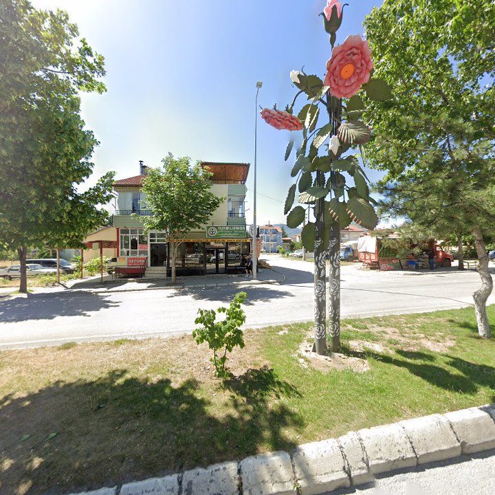Fotoğraf 3