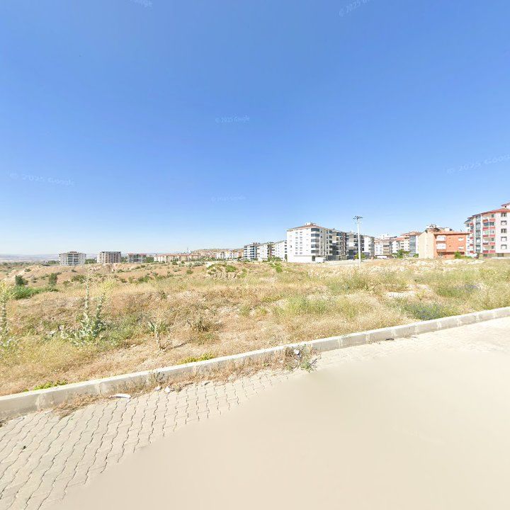 Fotoğraf 11