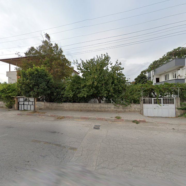 Fotoğraf 9