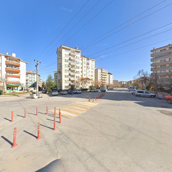Fotoğraf 12