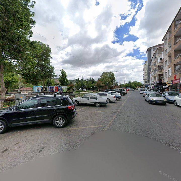 Fotoğraf 9