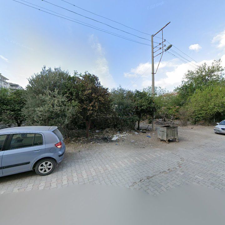 Fotoğraf 8