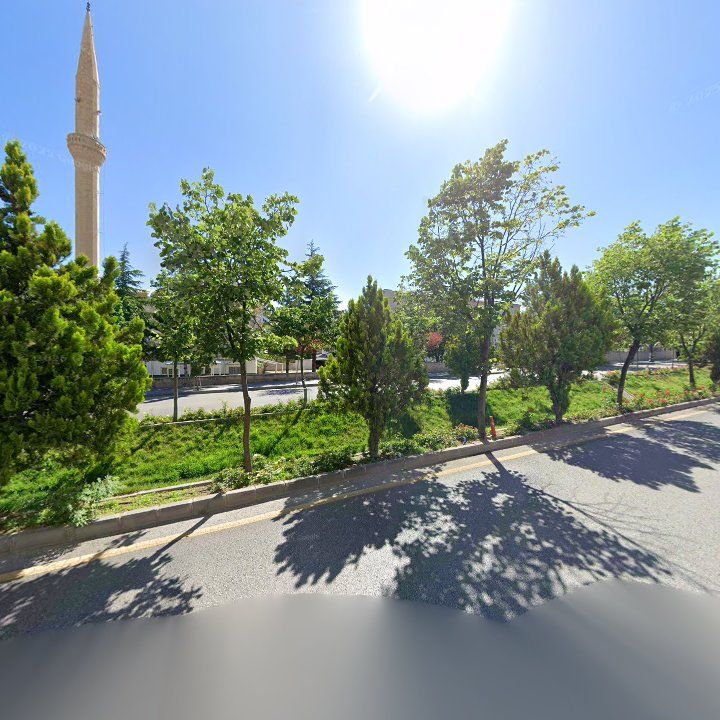 Fotoğraf 9