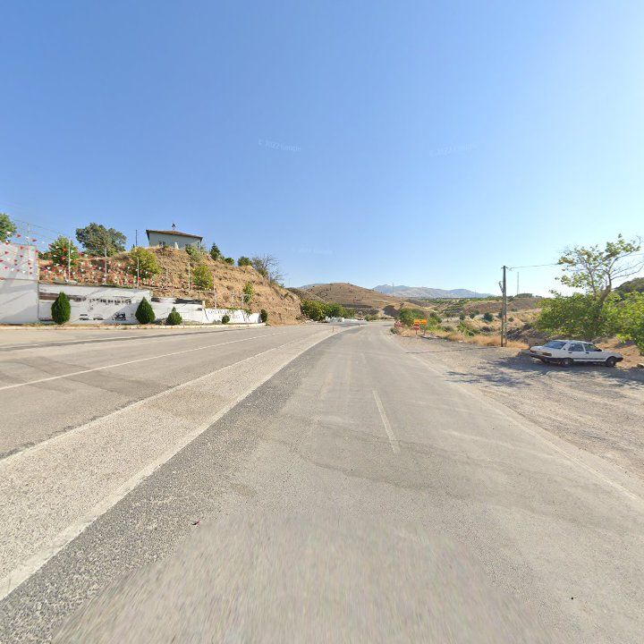 Fotoğraf 12