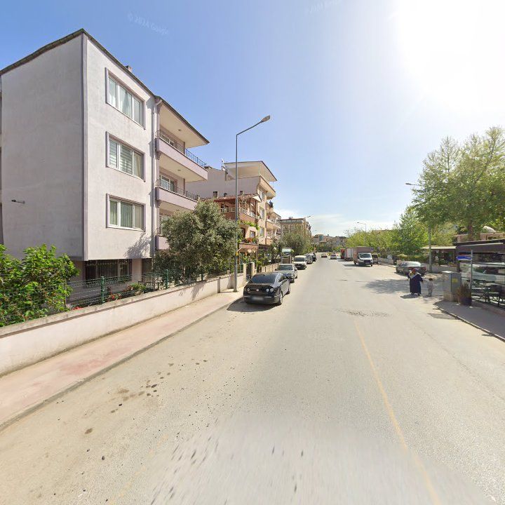 Fotoğraf 9