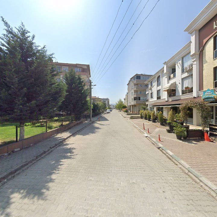 Fotoğraf 10