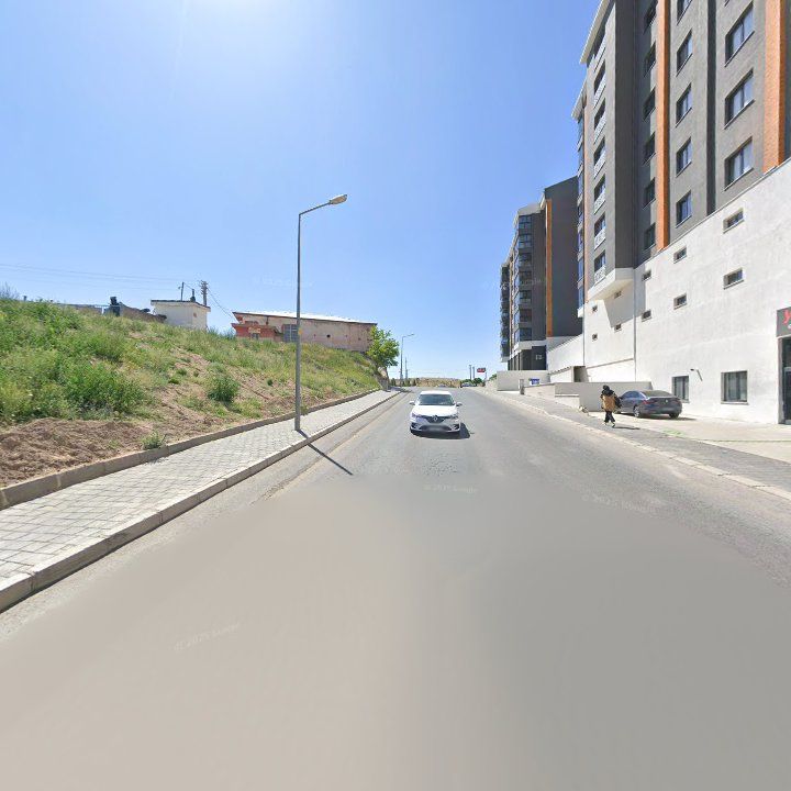 Fotoğraf 10