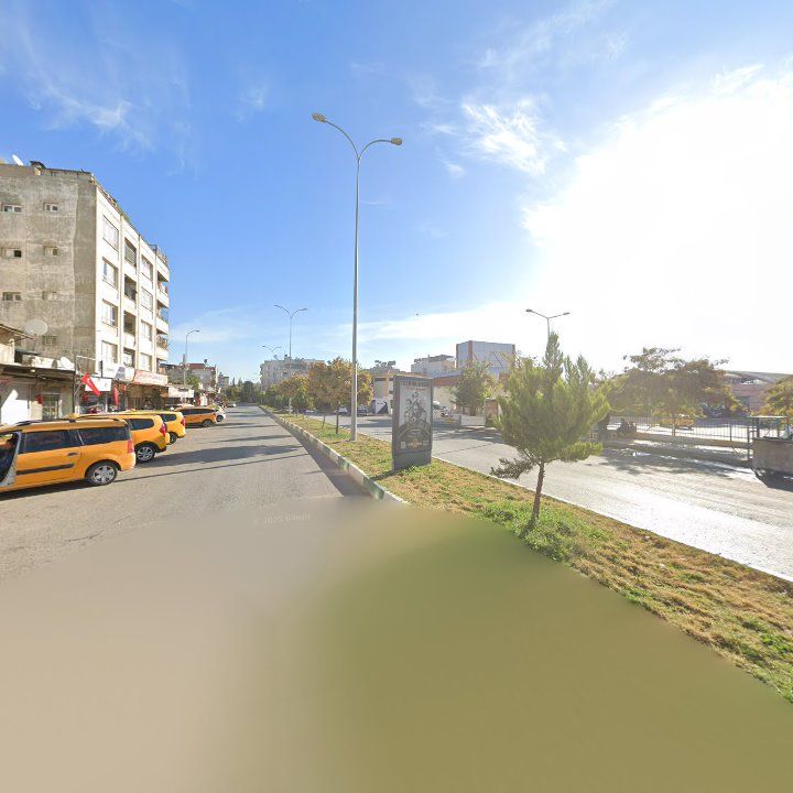 Fotoğraf 5