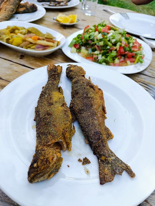 Koşat Alabalık Restoran