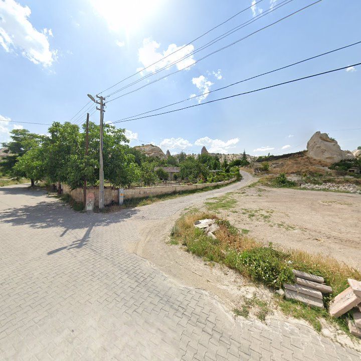 Fotoğraf 12